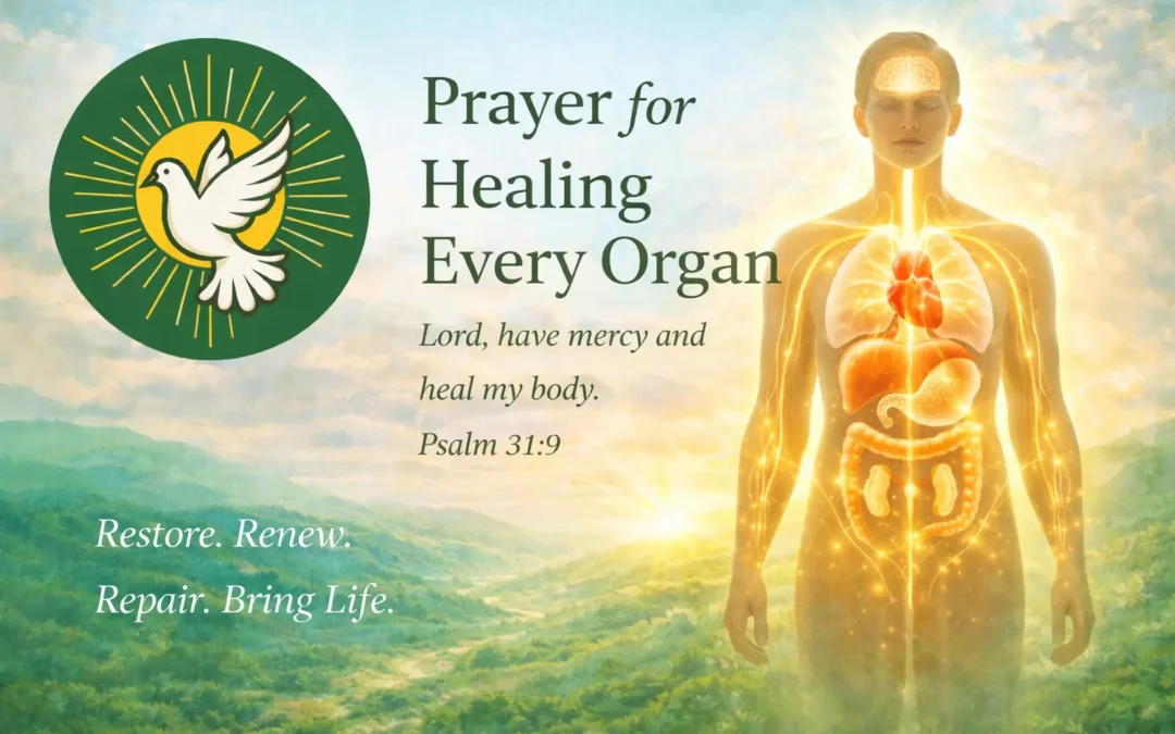 Prayer for Healing Every Organ